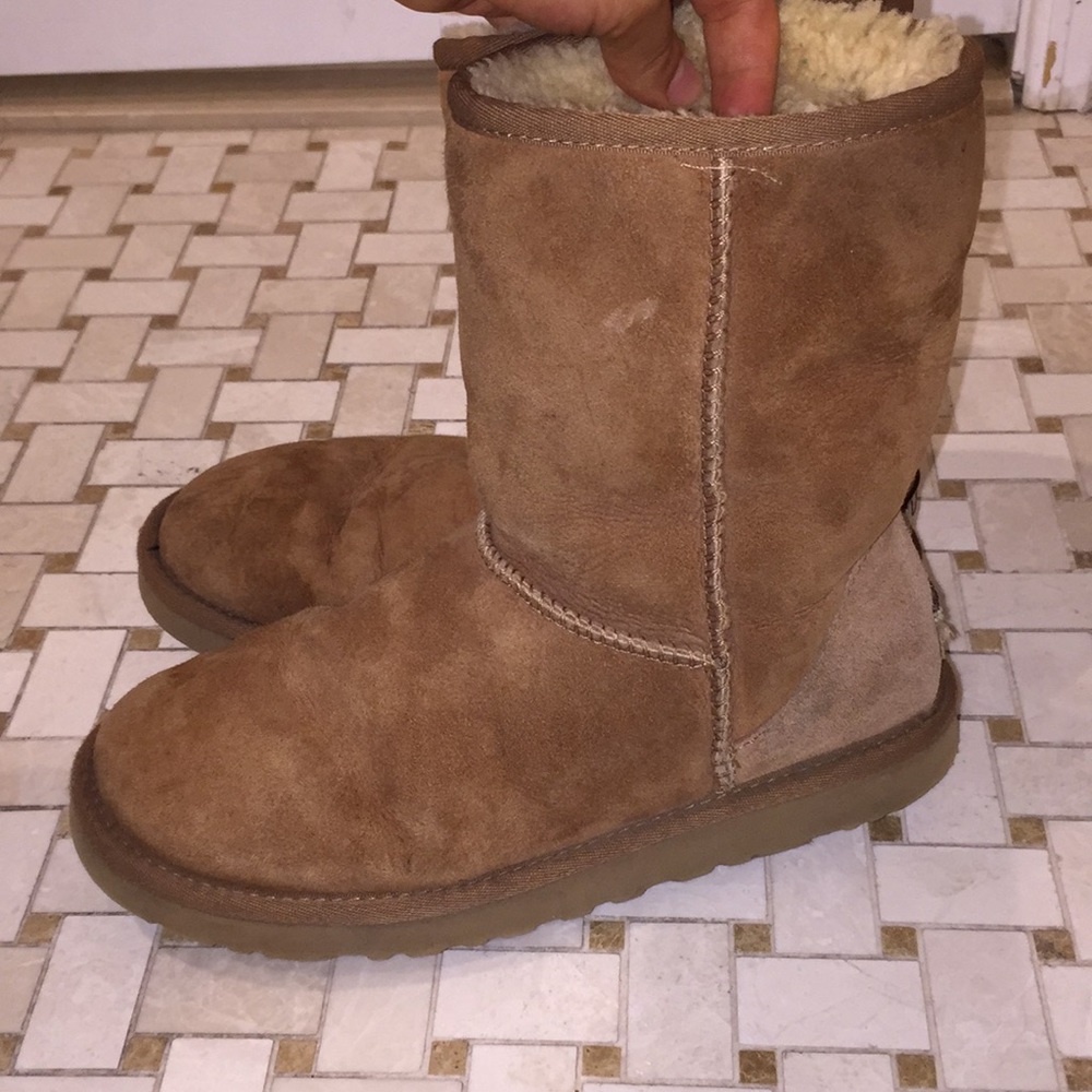 Chestnut Short ugg boots